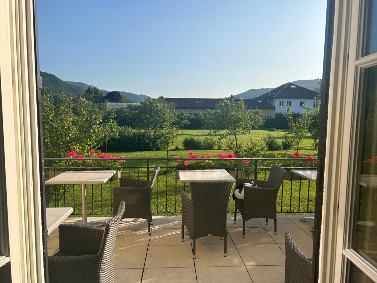 Donauhof - Hotel Garni 레헨스테이너와차우 외부 사진